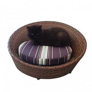 Chaise Pet