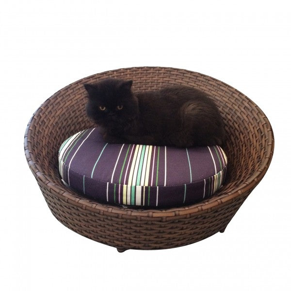 Chaise Pet